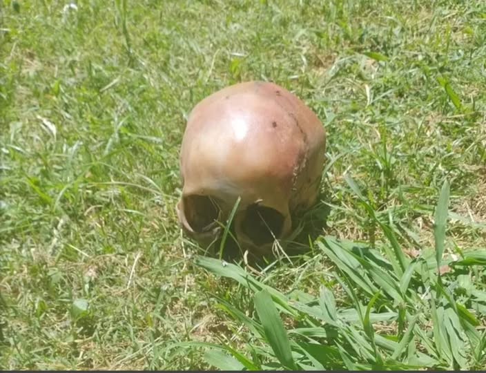 Conmoción en Abasto por el hallazgo de un cráneo humano dentro de una vivienda.