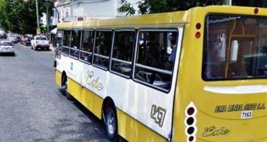 El servicio de transporte público retomará la frecuencia habitual a partir del lunes en La Plata