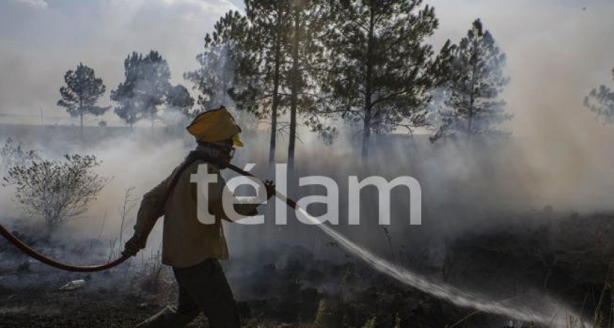 Persisten los incendios forestales en Corrientes, Río Negro, Misiones, Chubut y Formosa