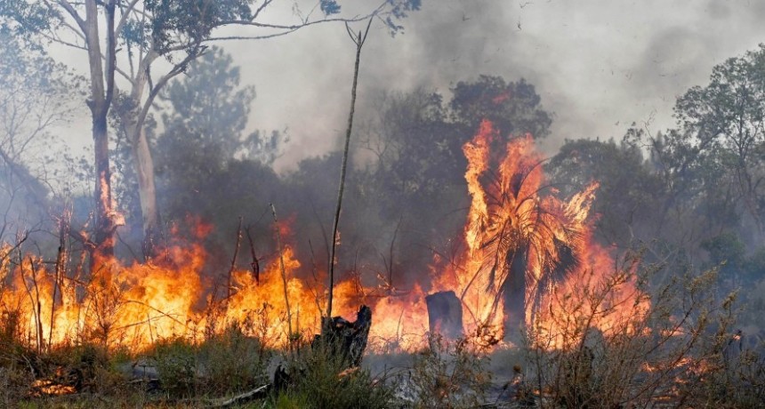Cinco focos de incendios permanecen activos en territorio correntino 