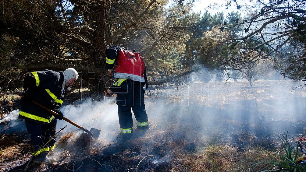 Advierten que riesgo de incendios forestales en General Pueyrredón es 