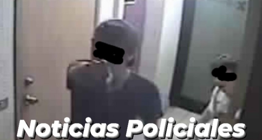 Villa Gesell, Buenos Aires: Robó y al verse acorralado uso a una niña de 5 años de escudo