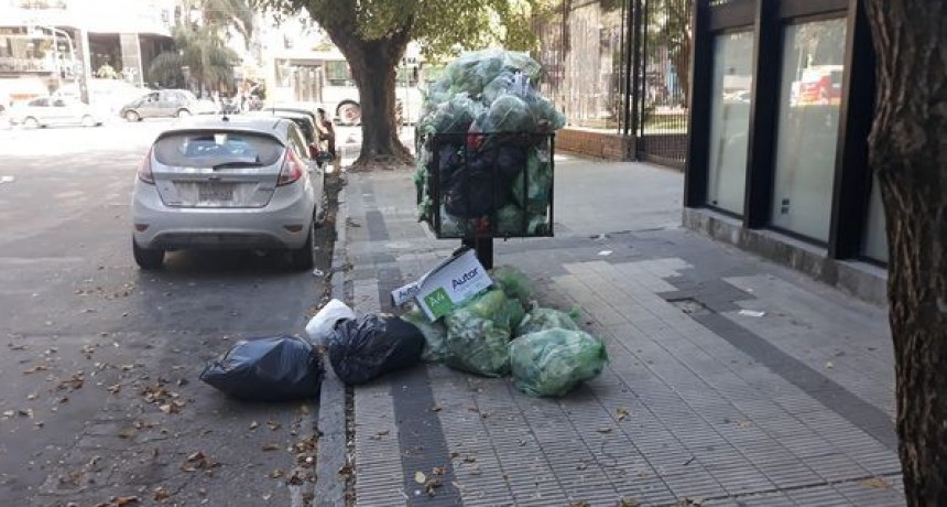 LA PLATA: EN PLENO CENTRO DE LA CIUDAD, LA EMPRESA DE RECOLECCIÓN DE RESIDUOS 