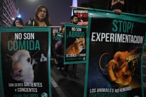 Proteccionistas y veganos marcharon al Congreso en el Día de la Lucha por la Liberación Animal