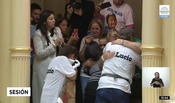 El Senado aprobó por unanimidad la Ley Lucio