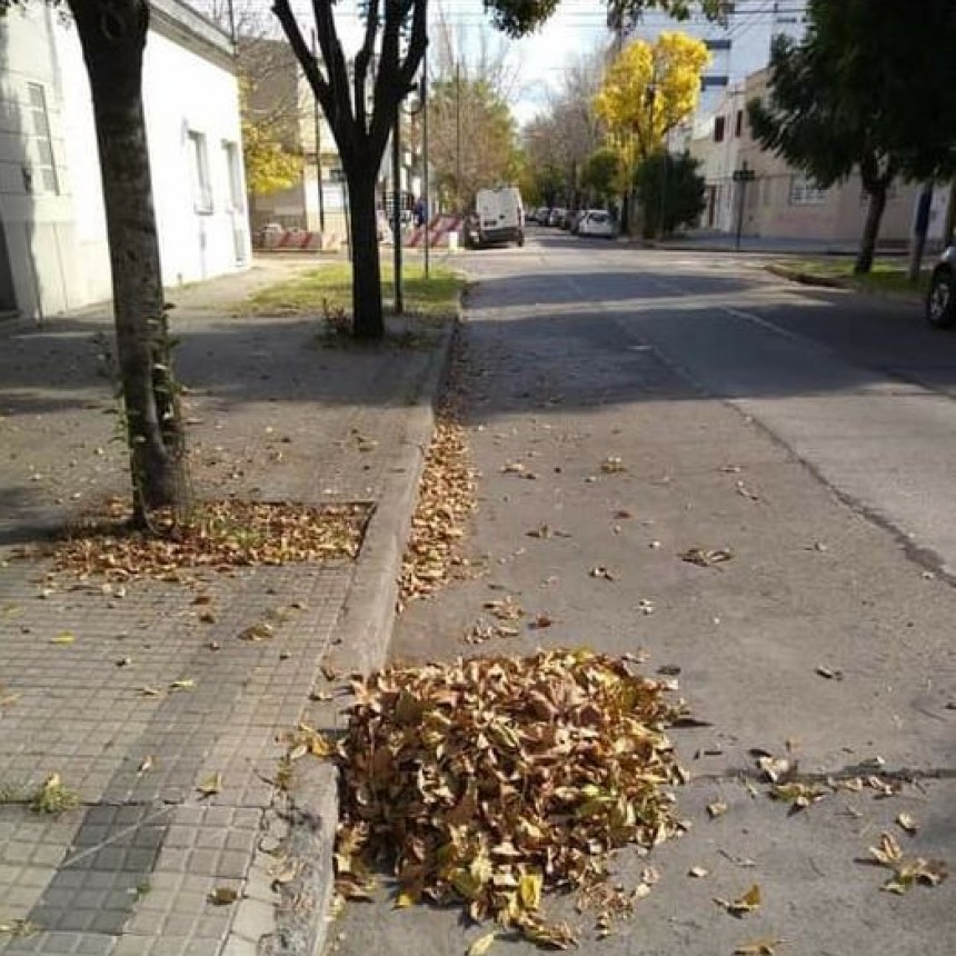 LA PLATA: HABITANTES DE BARRIO NORTE SALIERON A BARRER LAS CALLES Y VEREDAS ANTE EL ABANDONO MUNICIPAL