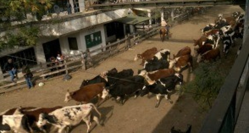 Tras 122 años, cerró el Mercado de Hacienda de Liniers y comienza a operar en Cañuelas
