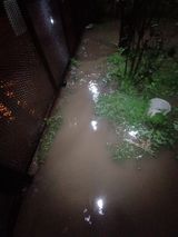 Unos 60 vuelos afectados, calles anegadas y caída de árboles por tormentas en el AMBA