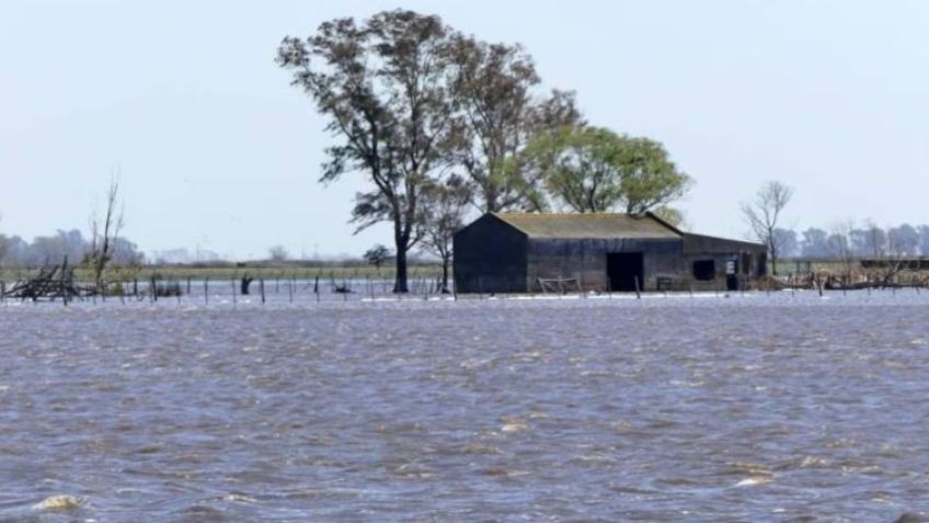Kicillof declaró en emergencia agropecuaria a 12 distritos bonaerenses