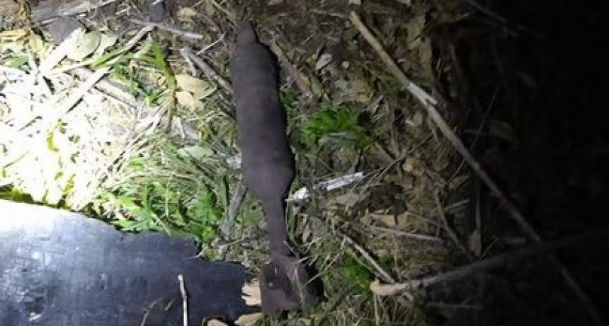 Limpiaba su terreno en Olmos y encontró un proyectil de mortero