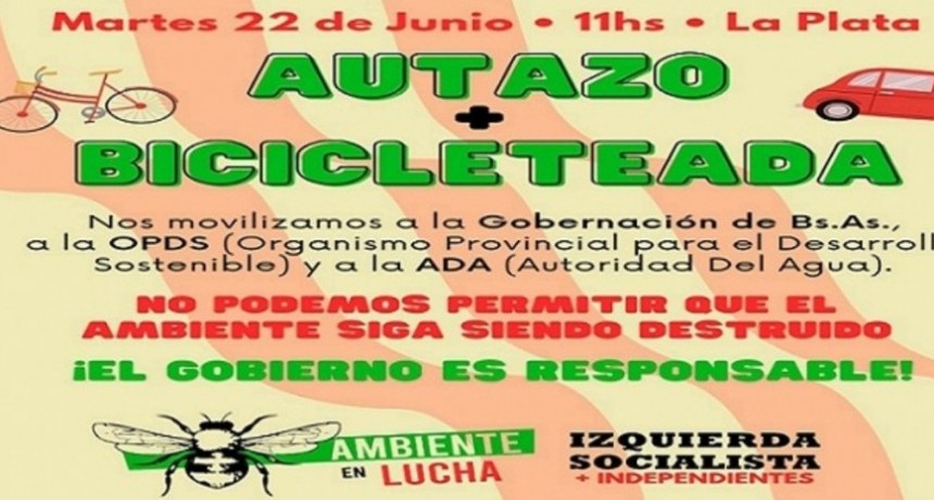 Realizarán en La Plata un 