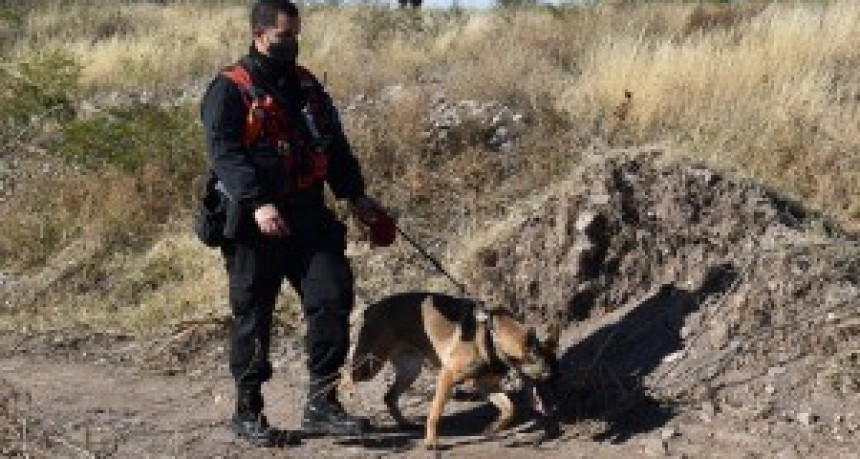 A 9 días de la desaparición de Guadalupe, no descartan pistas e Interpol emite una 