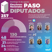 Un tercio de los diputados que terminan en diciembre buscarán acceder a su reelección en octubre