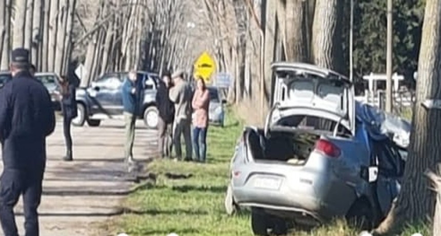 Ayacucho, Buenos Aires: Una mujer falleció al chocar contra un árbol en inmediaciones de la Sociedad Rural