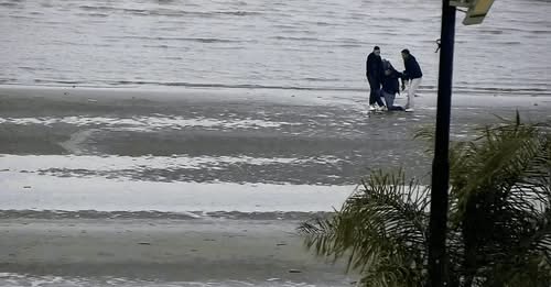 Detuvieron a peligroso delincuente