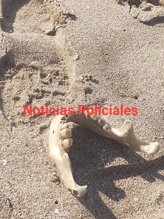 URGENTE: Villa Gesell 