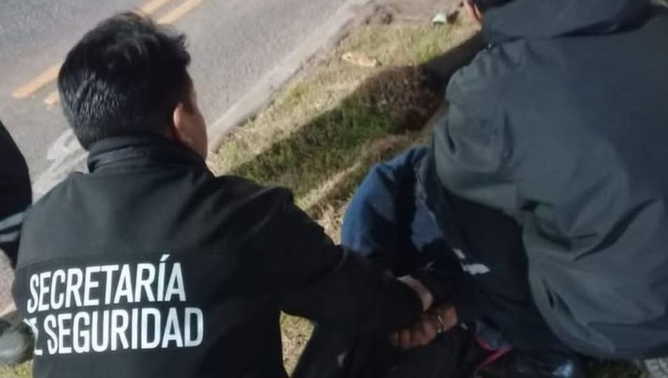 La Plata: cayó el “ladrón del árbol” armado con un machete