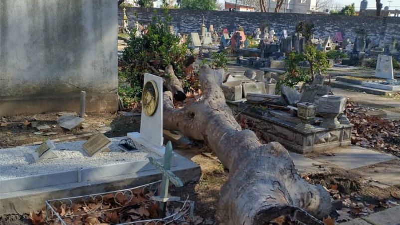 Lomas de Zamora: La oposición reclama por el estado del cementerio