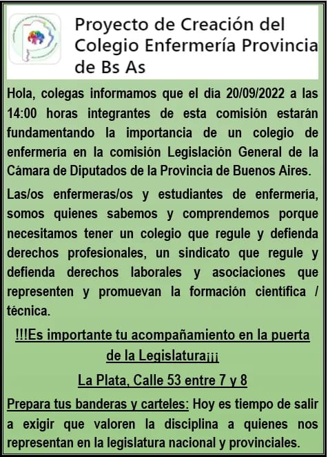 Presentaran un Proyecto de Creacion del Colegio de Enfermeria Provincia de Buenos Aires 