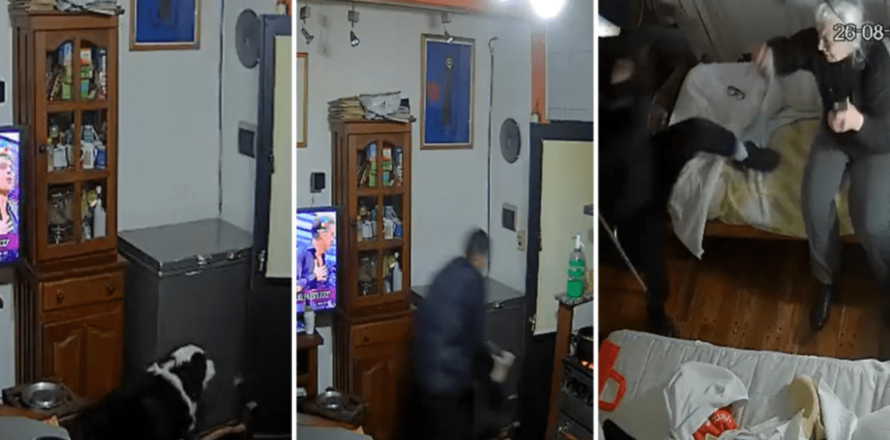 Detuvieron a otro integrante de la banda que golpeó a una jubilada y le disparó a su perro