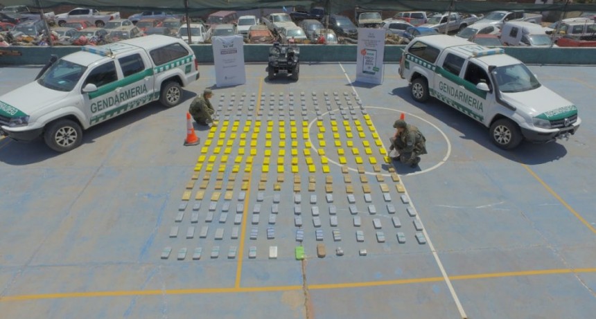 Secuestran 290 kilogramos de cocaína que estaban ocultos entre la maleza en Salta