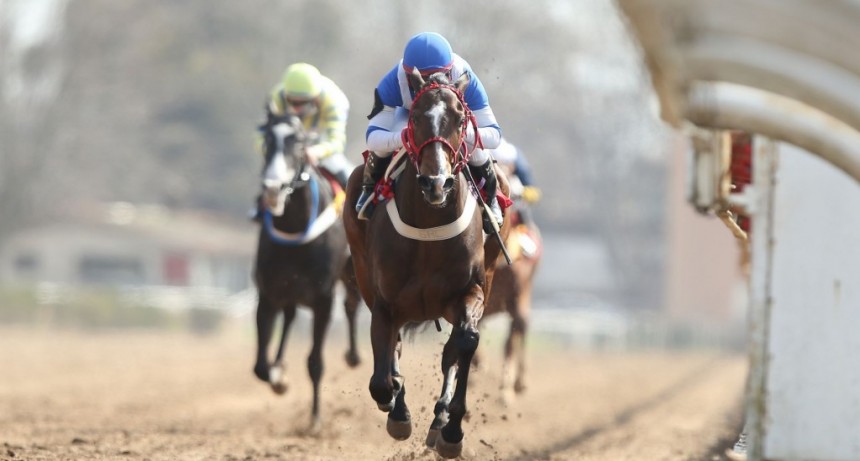 Se corre el Gran Premio Dardo Rocha de La Plata 2021