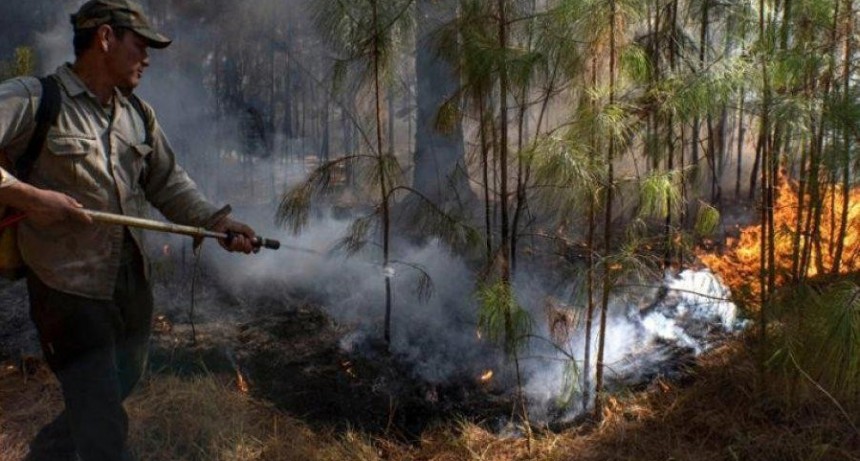 Jujuy, Salta, Catamarca, Córdoba y Entre Ríos registran incendios forestales activos