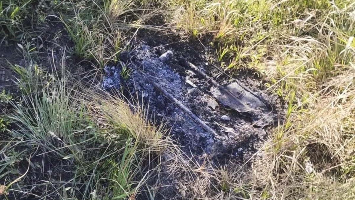 Confirman que uno de los restos óseos es humano y buscarán extraer ADN para saber si es de Cecilia