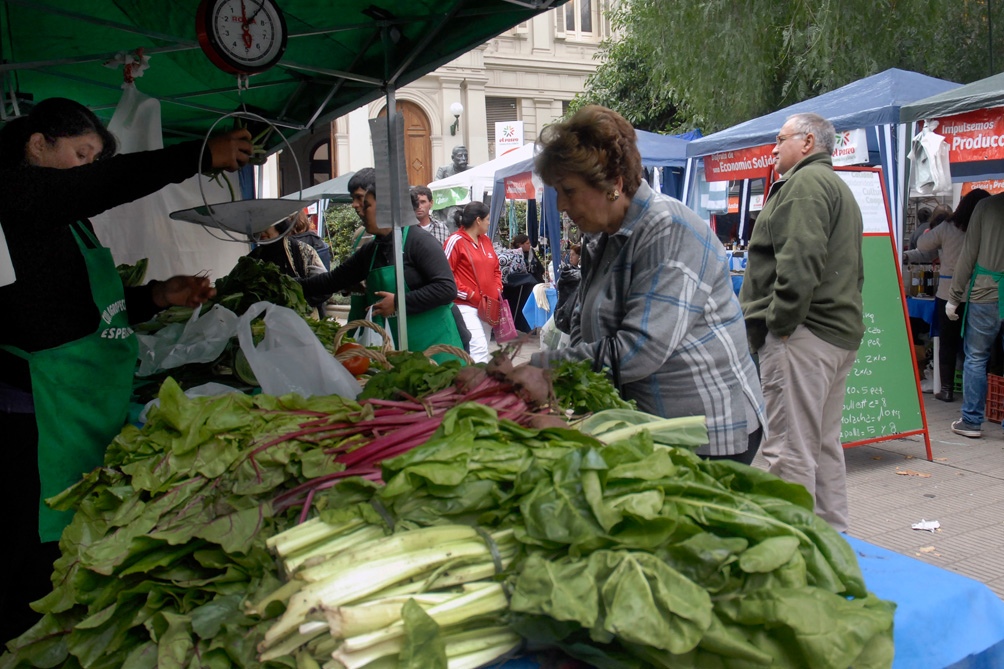 Detectaron una alta concentración de parásitos en verduras del cordón hortícola de La Plata
