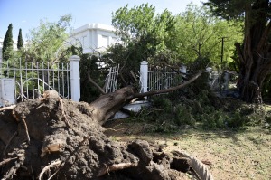 Identifican a 12 de las 13 víctimas fatales del temporal en Bahía Blanca